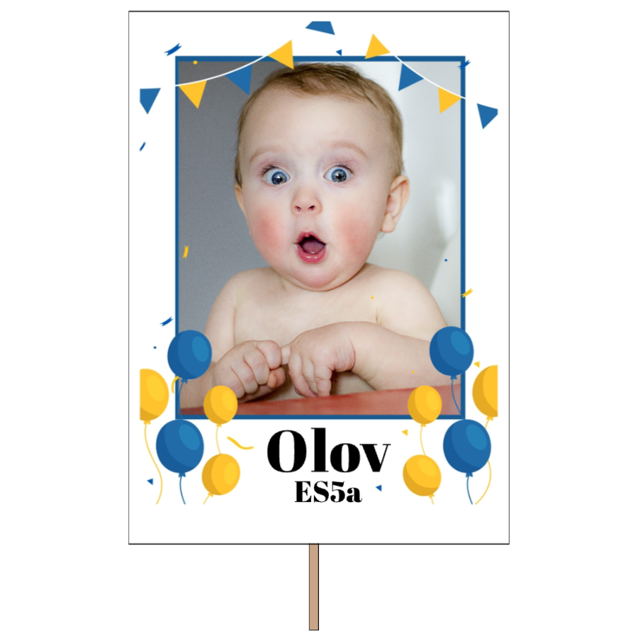 Ballonger & vimplar | Studentplakat