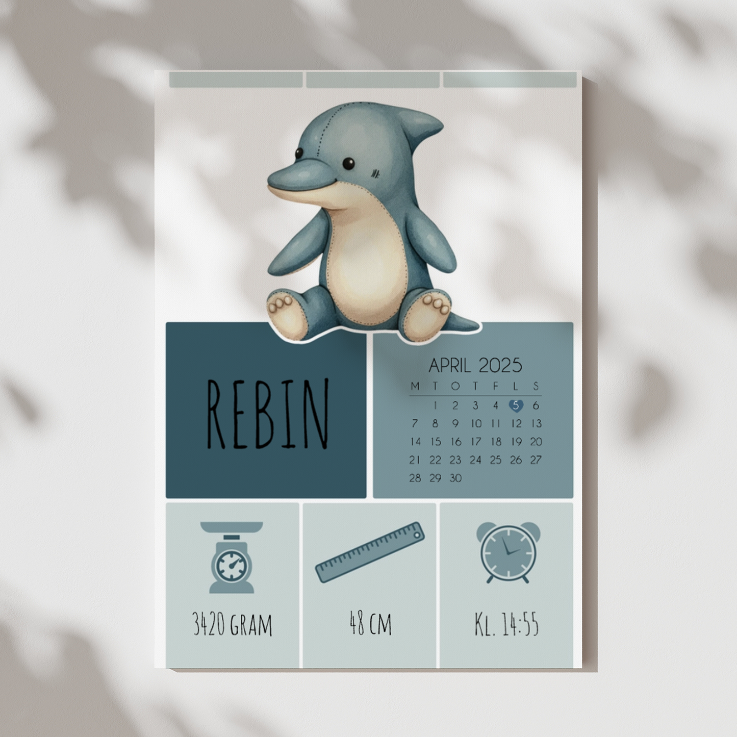 Delfin | Födelsetavla