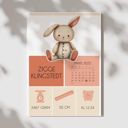 Kanin | Födelsetavla