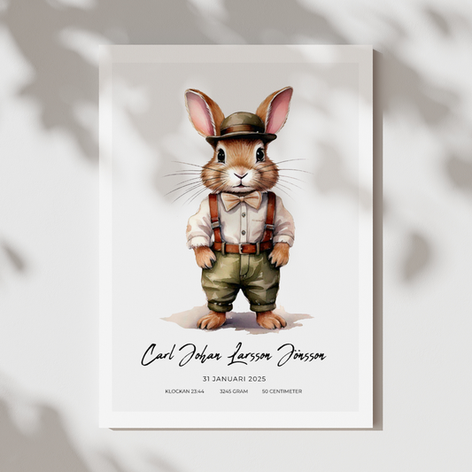 Kanin med kläder | Personlig födelseposter