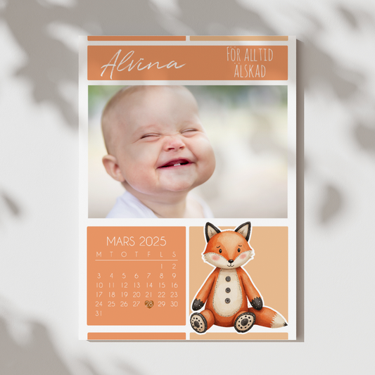 Räv | Fotoposter & kalender