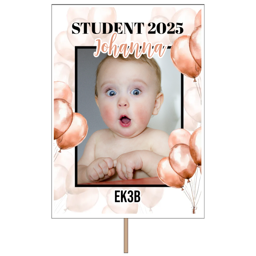 Roséballonger | Studentplakat