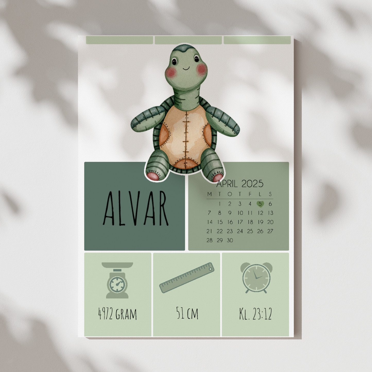 Sköldpadda | Födelsetavla