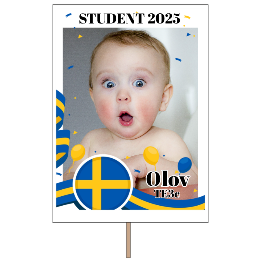 Sverigeflagga | Studentplakat